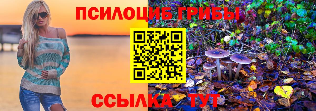 Галлюциногенные грибы GOLDEN TEACHER  Вход с VPN  Псилоцибиновые грибы Cubensis  Кисловодск 